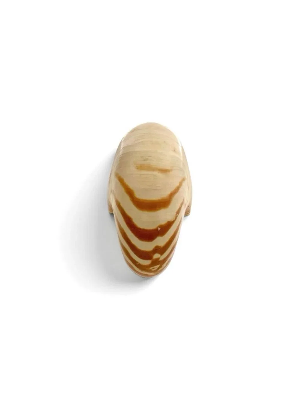 Seashell Large Nautilus Chambered Coastal Nautical Beach Decor